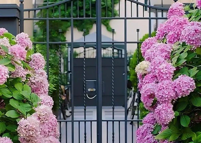 Luxury Collection - Ponchielli 19